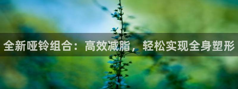 NG大舞台官方正版app集团官网首页