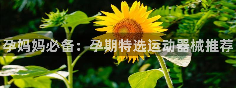 NG大舞台官方平台体育:孕妈妈必备:孕期特选运动器械推荐