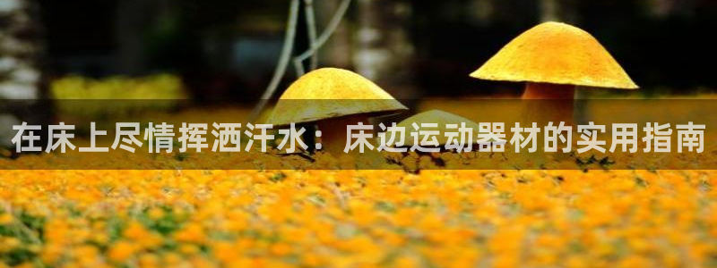 NG大舞台官网下载平台注册流程图:在床上尽情挥洒汗水:床边运