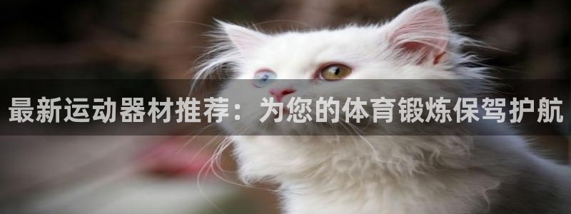 NG大舞台官网下载招商：最新运动器材推荐：为您的体育锻炼保驾